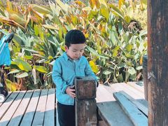 -艾溪湖湿地公园