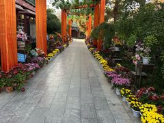 -中国翰园碑林