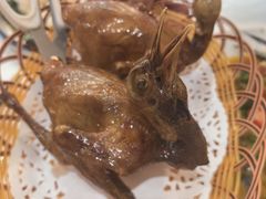 -有腥气私房菜·寻味顺德