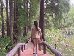 -东湖落雁景区