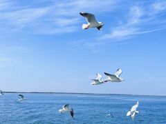 -乌梁素海景区