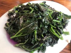 蒜蓉炒紫背菜-竹庄餐馆·26年店(南昆山景区店)
