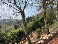 -莫干山风景区