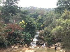 -广州市帽峰山景区