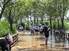 -绿堤公园