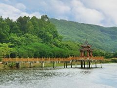 -东莞市大岭山森林公园