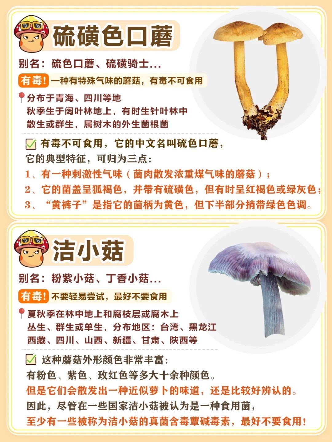 千万不能吃的有毒菌菇96常见毒蘑菇列表75