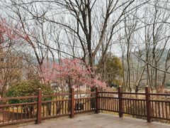 -石塘人家