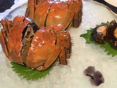 特级阳澄湖大闸蟹-杭州西子湖四季酒店·金沙厅
