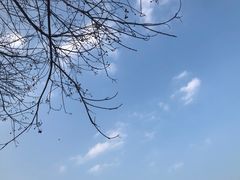 -大蜀山国家森林公园