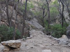 -大岭沟猕猴桃谷风景区