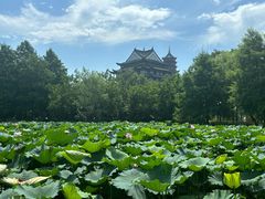 -长兴太湖图影湿地文化园