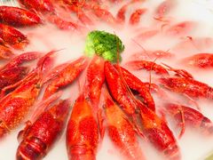 -红盔甲·小龙虾(天钥桥店)