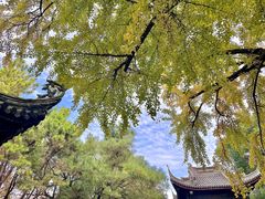 -惠山古镇·寄畅园