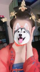 点击看大图 -盘子女人坊古装写真摄影(天津总店)