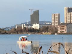-洋湖国家湿地公园