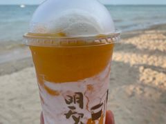-贝壳沙滩