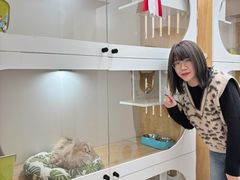 -青奢宠物·青奢猫舍