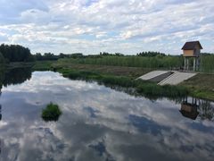 -东郊湿地公园