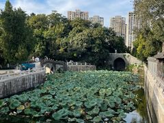 -水绘园