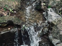 -大奇山国家森林公园