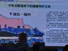 -随州碧桂园凤悦凤凰酒店