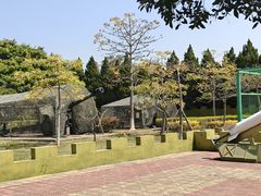 -大嶝英雄三岛战地观光园
