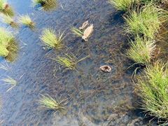-花湖生态旅游区