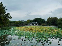 -范蠡湖公园