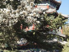 -颐和园