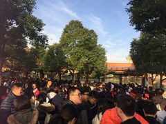 门面-上海迪士尼度假区