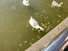 -达活泉公园
