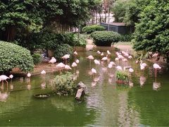 -九龙公园