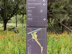 -东升八家郊野公园