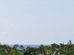 -三亚海棠湾喜来登度假酒店