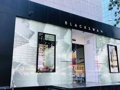 -BLACKSWAN黑天鹅(环球店)