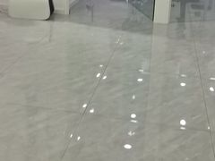 -爱洗澡的猫(望京店)