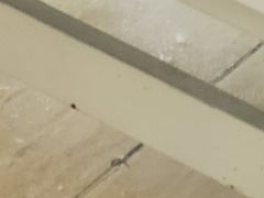 -上海市普陀区中心医院