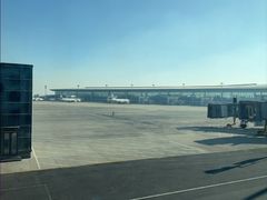 -青岛胶东国际机场