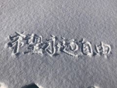 -窦店服务区-停车场