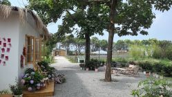 -DORA kids 朵拉儿童摄影花园店