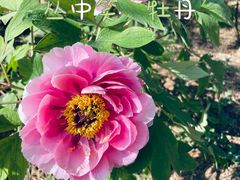 -国家植物园南园