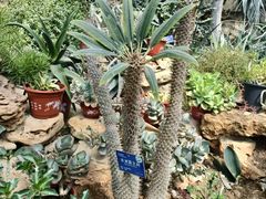 -国家植物园南园