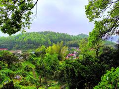 -岳麓山风景名胜区