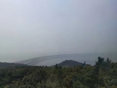 -星海湾跨海大桥
