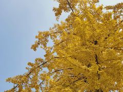 -百林公园-两江幸福广场