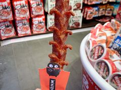 黑色经典老长沙大香肠-黑色经典臭豆腐·湖南特产(坡子街店)