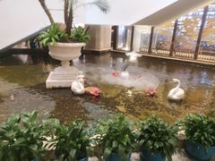 -广州白天鹅宾馆