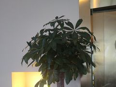-万豪咖啡厅(JW万豪酒店店)