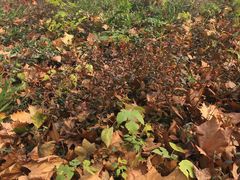 -济南国际园博园